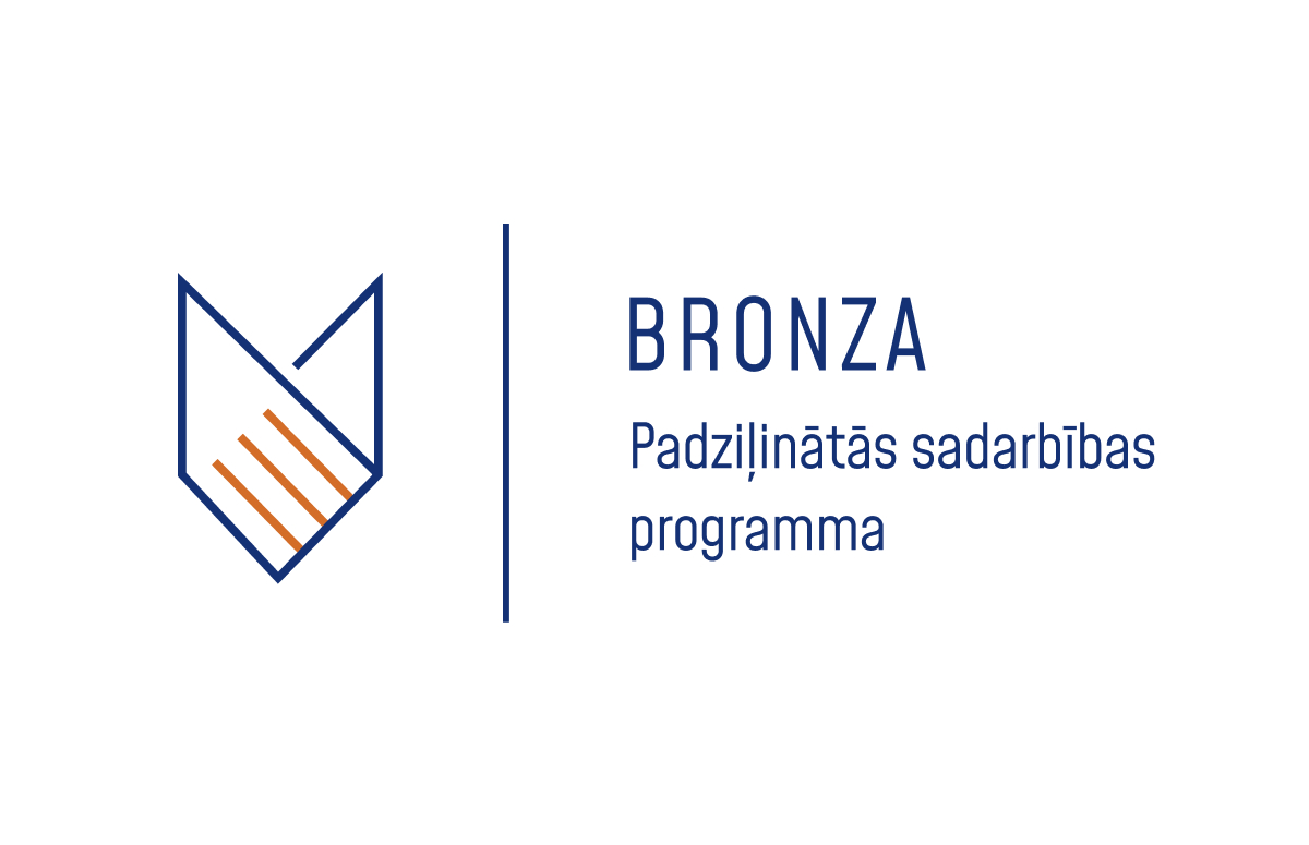 vid in-depth cooperation programme bronze award